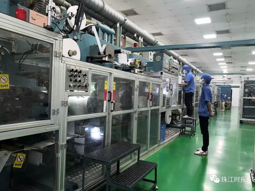 從紙尿褲到商務秘書 西樵產業的多元崛起與創新轉型